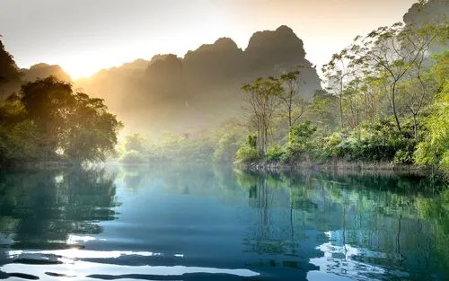 绿色绿色精密